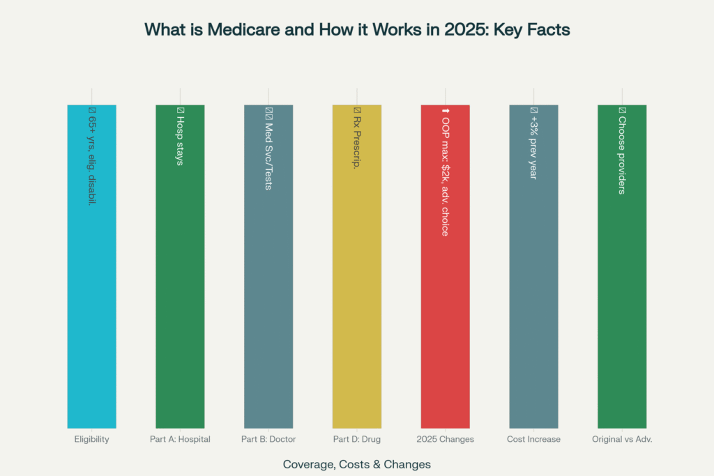  Featured image illustrating key Medicare facts for 2025: eligibility, coverage options, changes, and cost increases.
